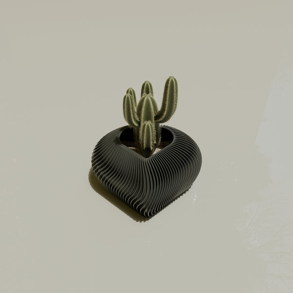 Amour Planter