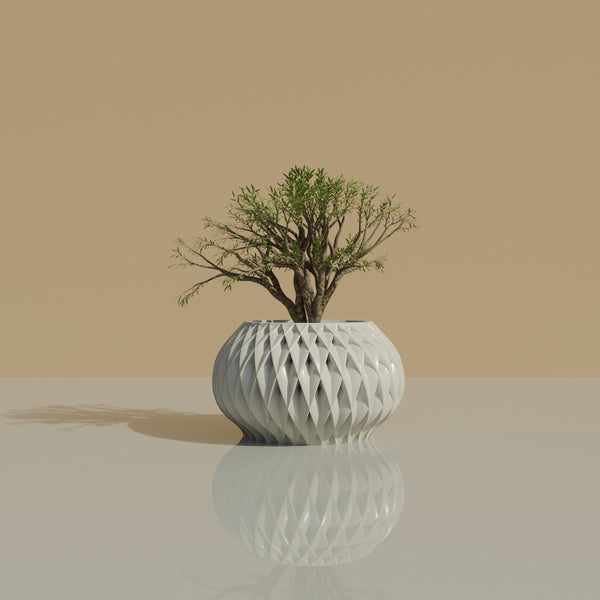 Crested Mirage